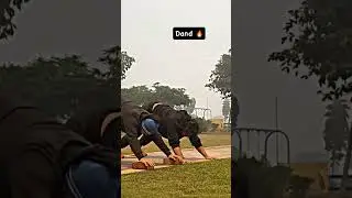 #indianworkout #pushup #fitness #motivation #desiworkout #desi #trending #strengthtraining #stamina