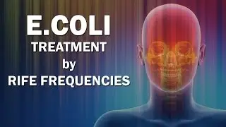 E.Coli - RIFE Frequencies Treatment - Energy & Quantum Medicine with Bioresonance
