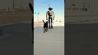 Robot walking the dog