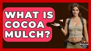 What Is Cocoa Mulch? - Survival Skills for Everyone