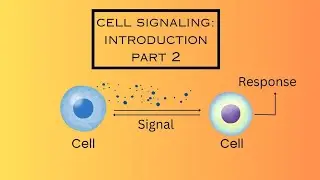 Cell signaling in details (part 2)||Bio notes|| cell biology|| biology diagram