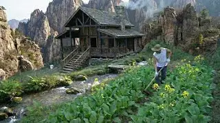 A CEO Left Trieu Khang Manh Company to Live in the Forest | Wooden House, Cooking & Healing
