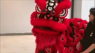 25 Jan 2026 BARONGSAI KELILING MALL! Lion Dance Parade🧧 Imlek CNY MERIAH di K Mall JKT 🇮🇩