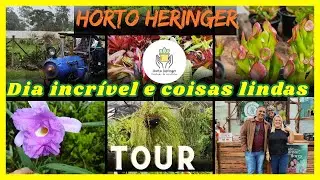 Horto Heringer - fui ver as novidades e mostrar pra vcs - fiz um tour