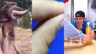 Nonomen funny video😂😂😂 CRAZIEST Nonomen Funny TikTok Compilation | Try Not To Laugh Watching