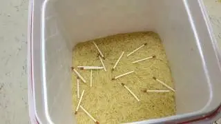 Rice or Aata kese karen stor चावल आटा और सूजी ऐसे करें स्टोर ।