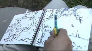 Plein Air Sketch of  California Sycamore at Schabarum Park, Rowland Heights, California