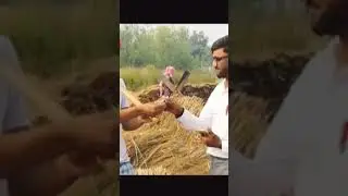 #bhojpuri #comedy #video #sierra #2026 #business #song #love #contentmarketing #contenttips