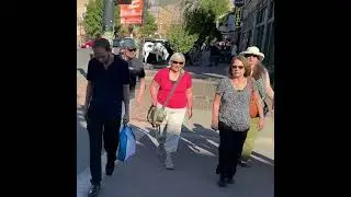 OTown Food Tours