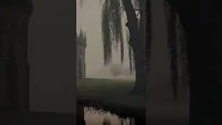 Just started,so bear a little I'll come with much fun next fun |   Follow for more #trending #viral