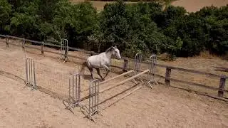 Caballos Val De Rueita - Saltos - JAIZKIBEL, INFANTE y JALISCO (Potros en venta)
