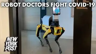 Robot doctors take over hospital to reduce COVID spread | New York Post
