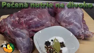 Pečen&aacute; nutrie na divoko