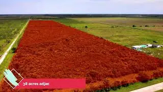 145 Acres For Sale in Chambers County,  Texas