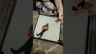 #corajade #roxanneperez #fatalinfluence #giulia #stephanievaquer #wwe #nxt #ecw #trending #viral