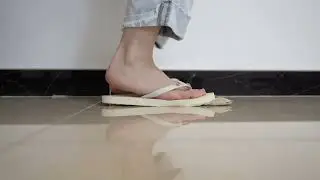 teddy trample