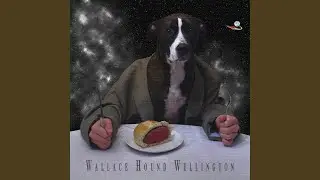 Wallace Hound Wellington