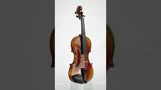 StringWorks 360: Soloist Violin