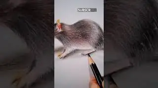 Realistic Rat Drawing - How to Draw Rat - Rat Drawing 3d - Cute Rat Drawing #shorts