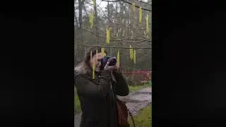 Trip naar de Herfst