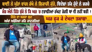 ਬਾਈ ਨੇ ਪੁੱਤਾਂ ਵਾਂਗ ਰੱਖੇ ਨੇ ਸ਼ਿਕਾਰੀ ਕੁੱਤੇ, ਵਿਦੇਸ਼ਾਂ ਤੱਕ ਹੁੰਦੇ ਨੇ ਚਰਚੇ | Pro Punjab Tv