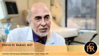 IVF - Why Individualization is Crucial