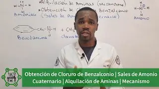 Obtención de Cloruro de Benzalconio Mediante Alquilación de Aminas/Sales de Amonio Cuaternario 1Gen