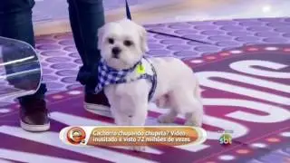 Famosos da internet vitória do Kirky 26/06/2016