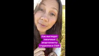 Как выглядят типичные апартаменты студентов в Америке