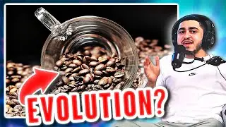 HOW Coffee EVOLVED Humans?!