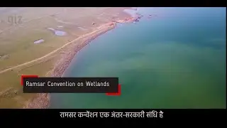 Hindi Subs - Counting Winged Visitors: Bird Census at Pong Dam