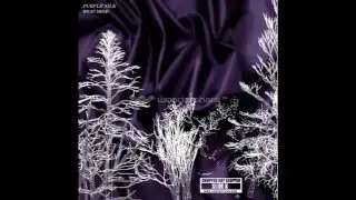 SPOOKY BLACK - FOREST SOUNDS [CHOPPED NOT SLOPPED] DJ SLIM K