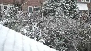 Snowy Long Eaton - 1080p HD - Twinkle Lightly