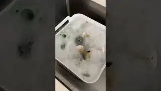 Washing baby bottles