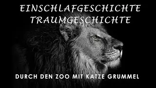 Einschlafgeschichte ~ Traumgeschichte 🦁 Katze Grummel durchstreift den Zoo [2021]