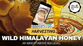I Risked Everything to Bring You REAL Honey | Raw footage| Kashmir Diaries ep.4 | Mountain Region 