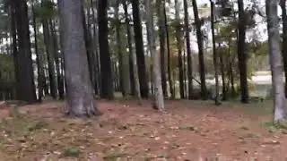 Video of Indian Creek Recreation Area, LA from N I.