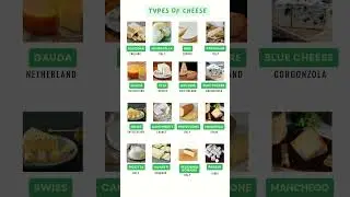 Different Types of Cheese & Their Names #MOMentmagic