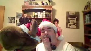 Merry Christmoose
