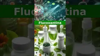 🌿 Flucoxantina🌊