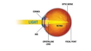 Image Formation By The Eye