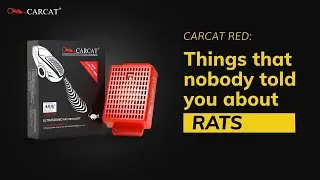 Car Rat Problem SOLVED! How CARCAT Works + Other Repellent Methods & What NOT to Use