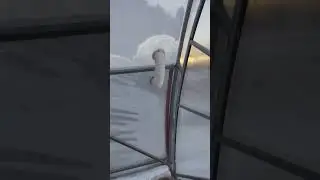  Купили ТЕПЛИЦЮ мрії! 🏠 Огляд та перші труднощі в морози