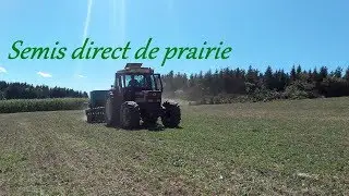 Semis direct de prairie 2017