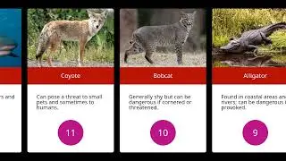 The 30 Most Dangerous Animals in Alabama