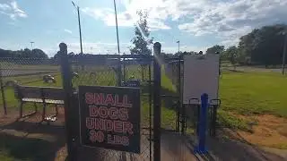Tennessee Todd & Diane at Wiggley Field Dog Park - Good or Bad