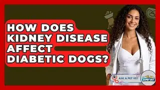 How Does Kidney Disease Affect Diabetic Dogs? - Ask A Pet Vet