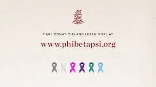 Phi Beta Psi - Race for Research