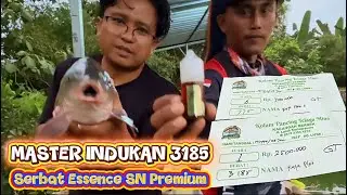 SIBOCIL STRIKE & JUARA 1&6 Di telaga Mina Kota Nganjuk