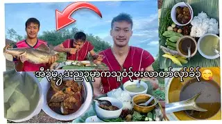 Eating big fish curry on Thai Karen mountains
